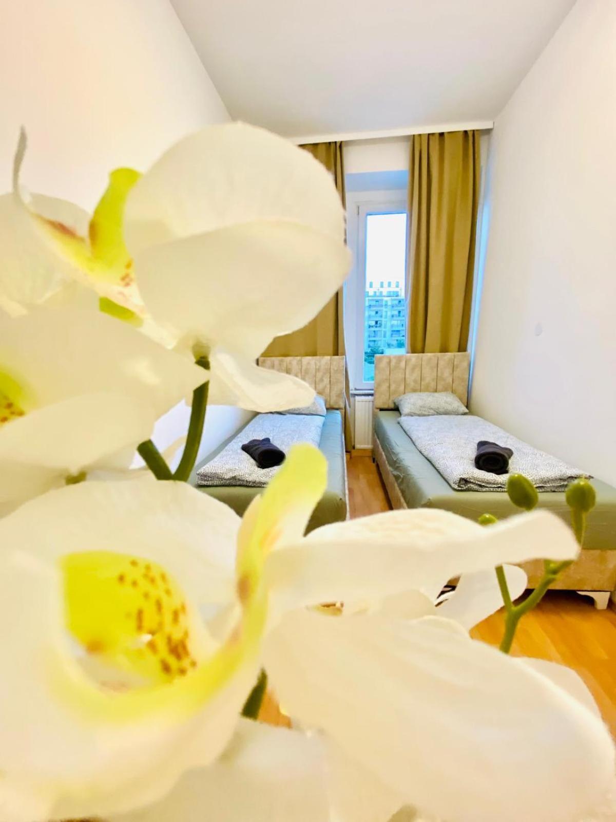 וינה Bright 5Br Shared Apartment W Great Transport Link מראה חיצוני תמונה
